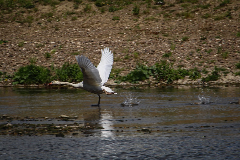 20150513-113644.jpg