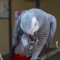 IMG_3533.jpg