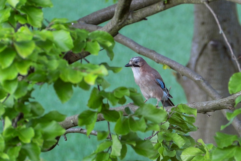 20190512-195128.jpg