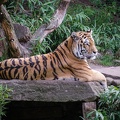 20090922-112221-031.jpg