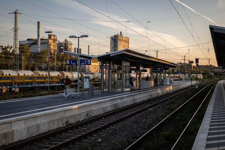 20220810-063924-3599.jpg