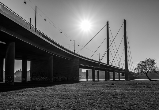 Rheinkniebrücke