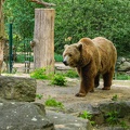 20050615-111907-2993.jpg