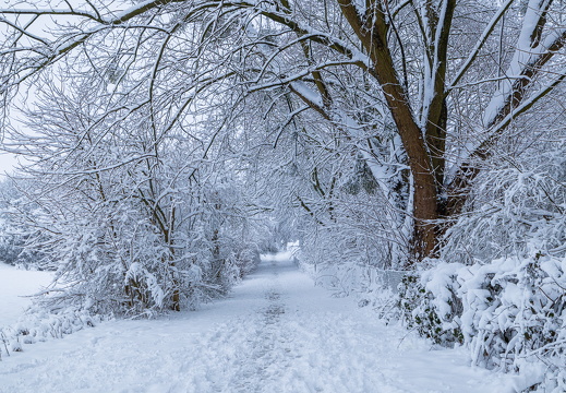 Winterweg
