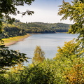 20250820-120352-4715.jpg