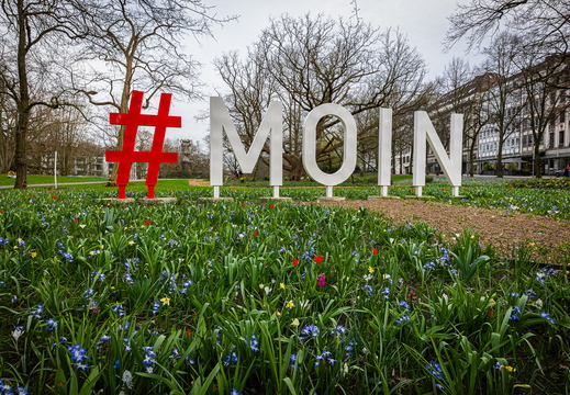 #MOIN