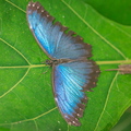 20160717-142613-6263.jpg