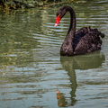 IMG_3471.jpg