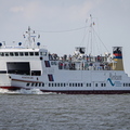 IMG_8515.jpg