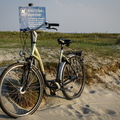 IMG_4196.jpg