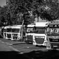 20220807-082952-3579.jpg