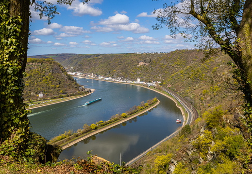 Loreley