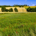 Spaziergang durch Feld und Flur
